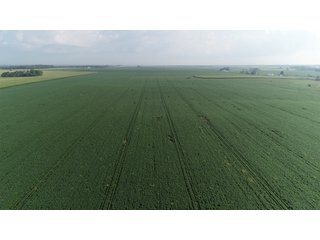 Union County, Indiana Farmland - REAL ESTATE AUCTION - 805+/- ACRES IN 11 TRACTS IN UNION COUNTY, INDIANA